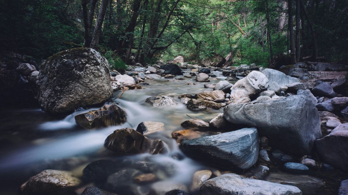 Родник. Ручей. Ключ