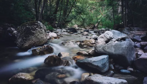 Золотодобытчики через суд требуют две реки и ручей в Алтайском крае