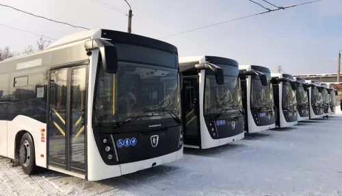 Белые НефАЗы на дизельной тяге. Что известно о новых автобусах, прибывших в Барнаул