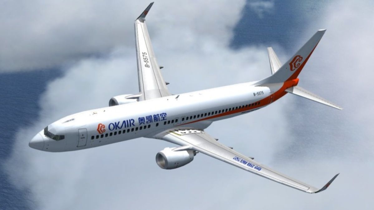 Boeing может понести убытки после трагедии с индонезийским лайнером