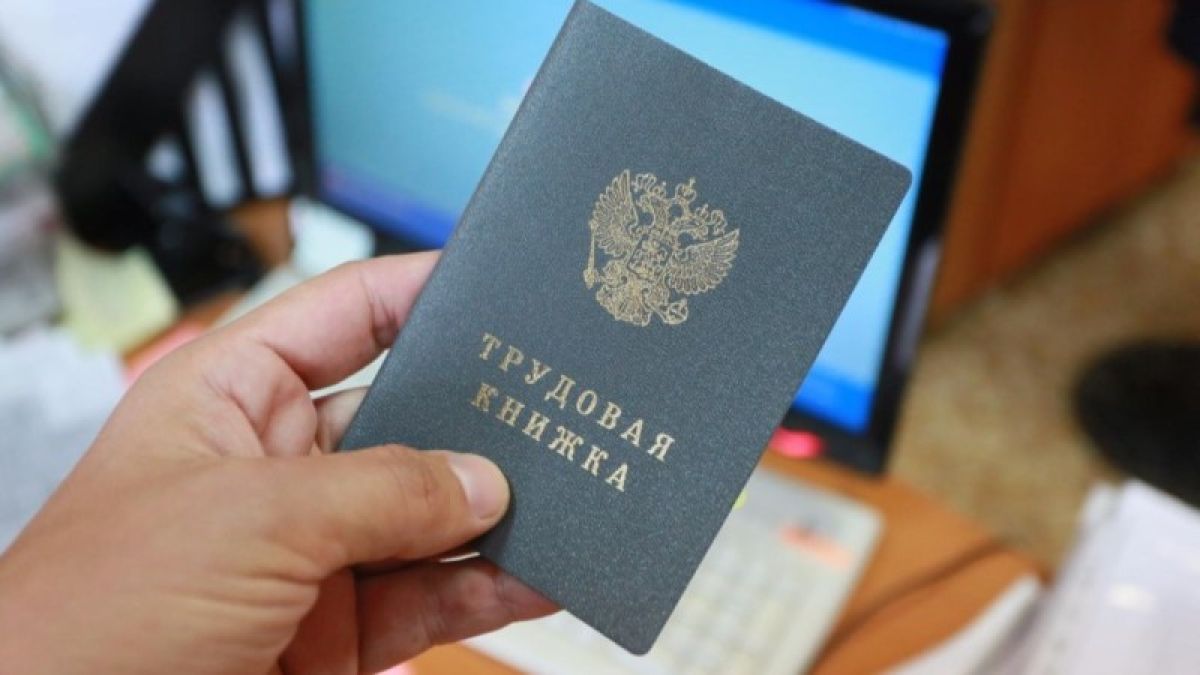 Переход на электронные трудовые книжки обойдется правительству в 300 млн рублей