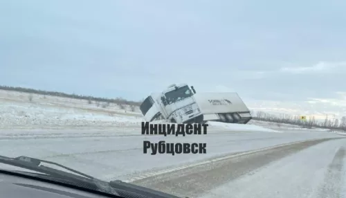 В Алтайском крае с трассы съехал грузовой автомобиль