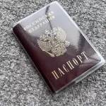Пасынок главкома ВСУ попросил российское гражданство