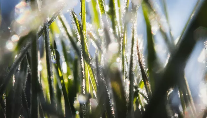 В Алтайском крае потеплеет до +15 градусов в последние дни марта