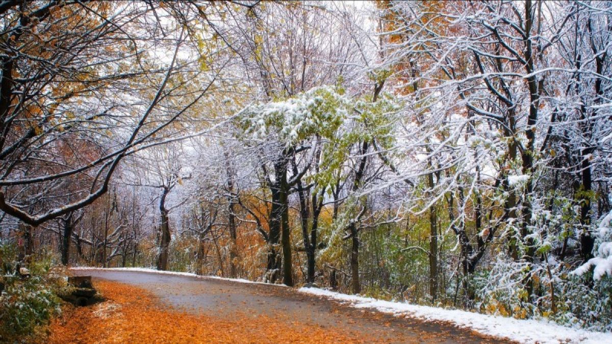Снег и ветер ожидаются в Алтайском крае 1 ноября