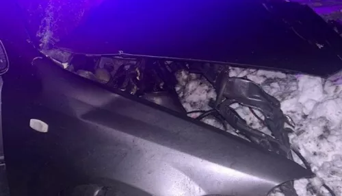 Под Новосибирском легковушка врезалась во встречный грузовик, водитель погиб