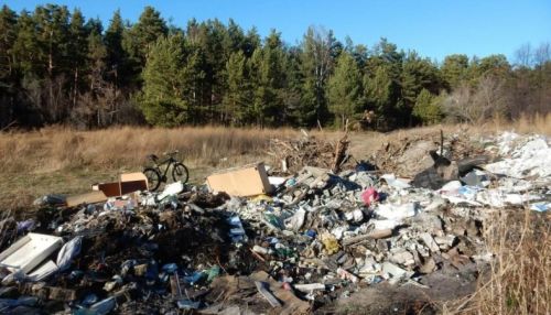 Добровольцев для уборки незаконных свалок ищут в Барнауле