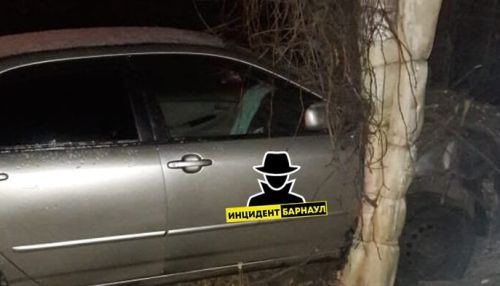 ДТП в Барнауле: водитель иномарки въехал в дерево и лег спать