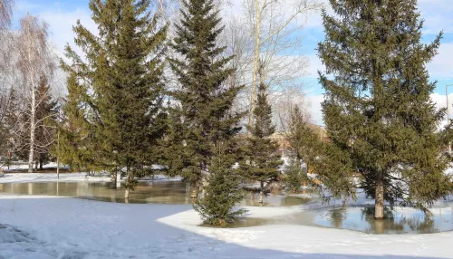 Тепло до +18 градусов пришло 27 марта в Алтайский край