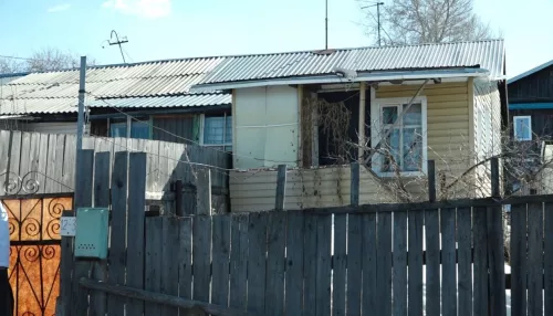 В Барнауле собаки умерли мучительной смертью в запертом на два месяца доме
