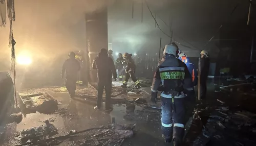Число погибших в результате теракта в Подмосковье достигло 115 человек