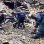 Прощались по телефону: свидетели рассказали о пережитом в Крокус Сити Холл ужасе