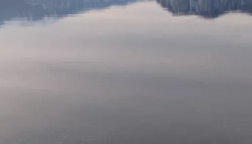 На Алтае показали весеннее спокойствие Телецкого озера и заснеженную тайгу