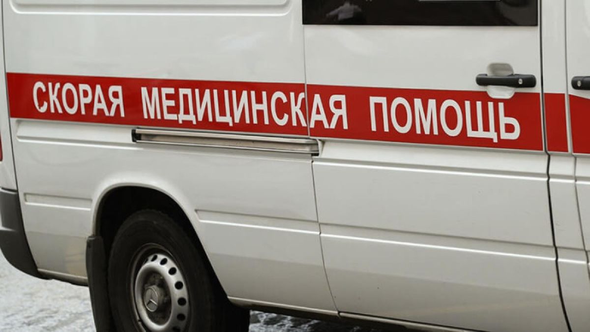 Депутаты Госдумы просят наградить врача из Новосибирска, который сломал шлагбаум