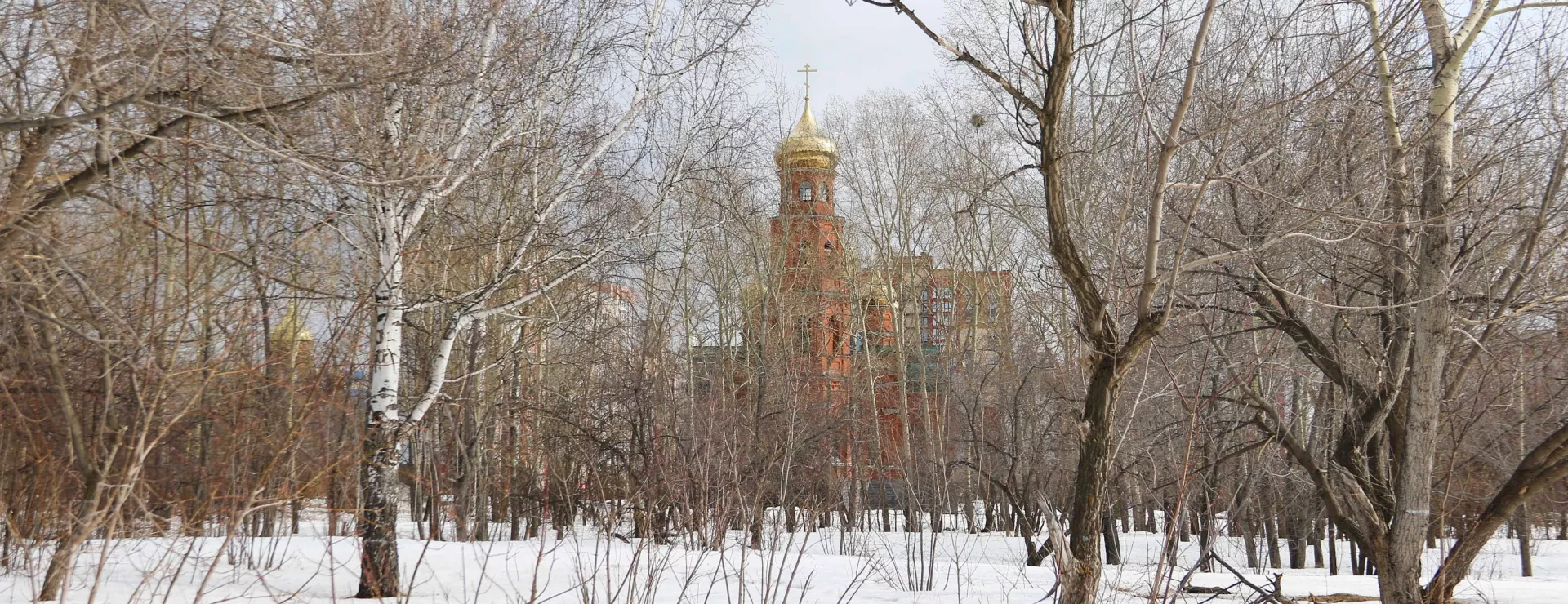Весна, солнце, снегири. Как выглядит самый дикий парк Барнаула перед реконструкцией