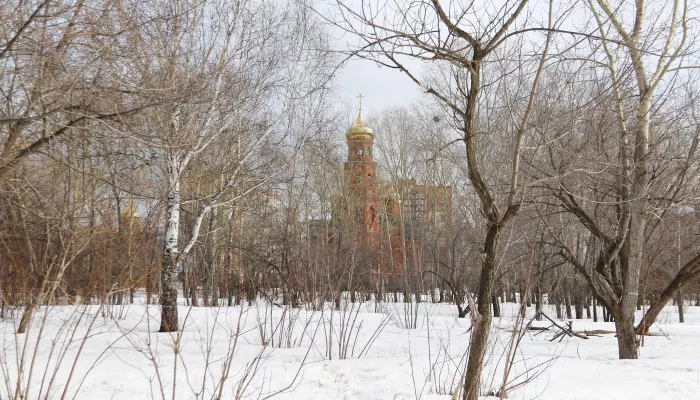 Весна, солнце, снегири. Как выглядит самый дикий парк Барнаула перед реконструкцией