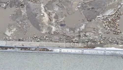 Барнаульцы пожаловались на мусор, приплывший к берегу Оби