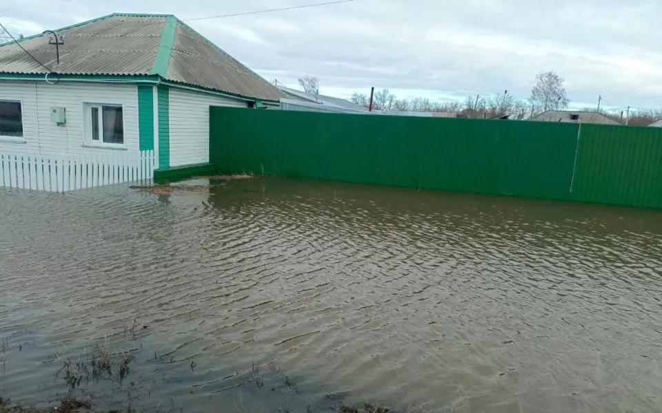 В Михайловском талые воды затопили дом пенсионерки