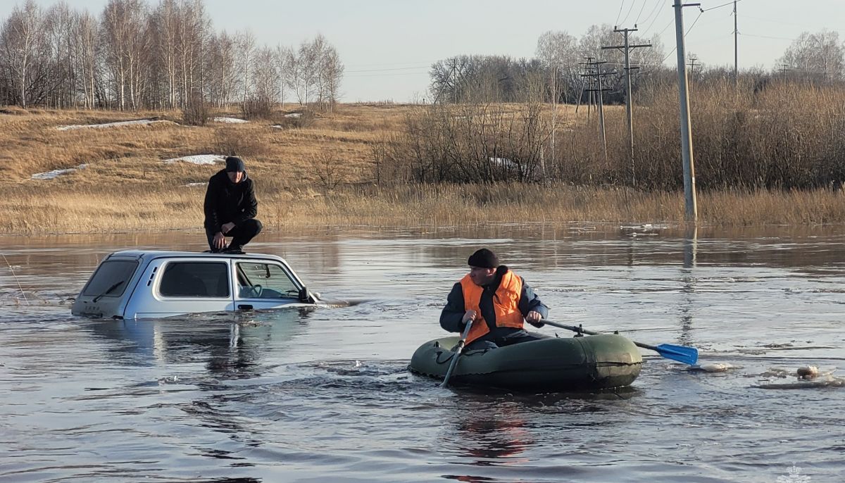 Паводок набирает обороты в районах Алтайского края - Толк 30.03.2024