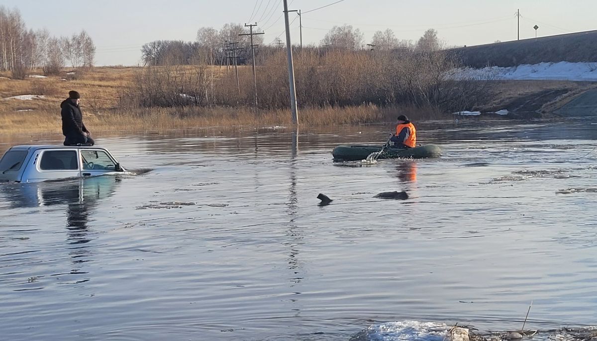 В Алтайском крае ввели режим ЧС в связи с паводком - Толк 30.03.2024