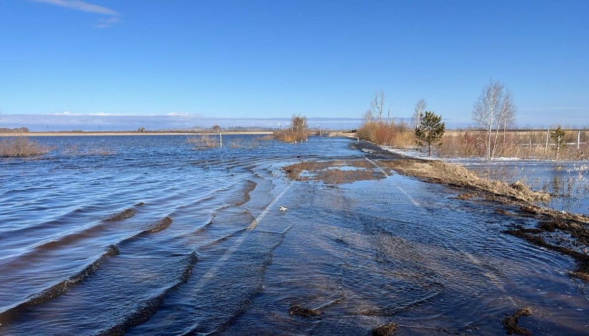 Как выглядят дороги Алтайского края в паводок-2024 и какие перекрыли - Толк  30.03.2024