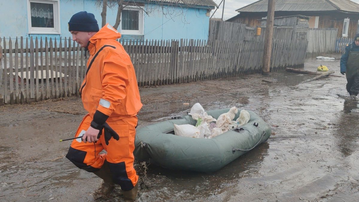 Почти 500 жилых домов подтопило в Алтайском крае | 31.03.2024 | Барнаул -  БезФормата