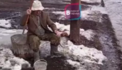 Жители затопленного алтайского села устроили рыбалку во дворах