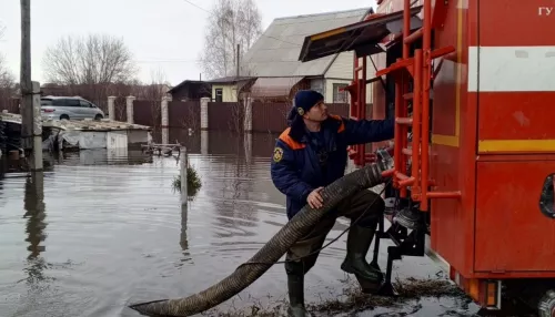 В Алтайском крае работает горячая линия для пострадавших от паводка
