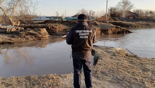 Алтайские следователи показали траншею, в которой утонул ребенок