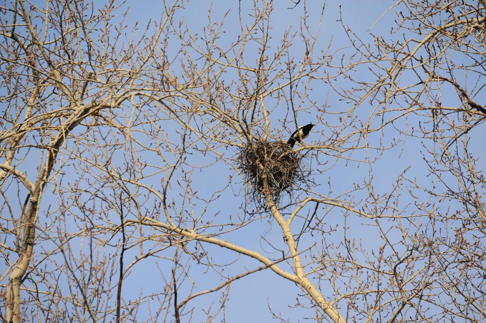 Весна. Апрель.