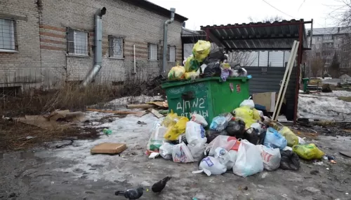 Жильцы барнаульской многоэтажки пожаловались, что утопают в мусоре