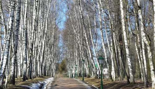 Апрельское потепление в Алтайском крае стремится к рекордному