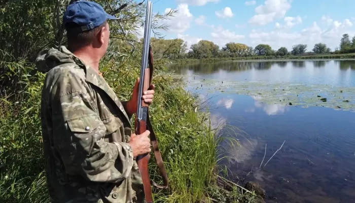 Форму заявления для прохождения охотничьего экзамена утвердили в Алтайском крае