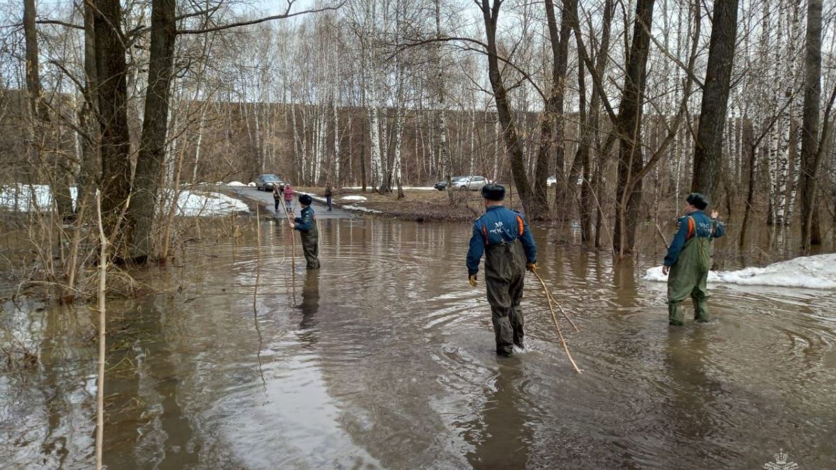 Спасатели в Красногорском районе