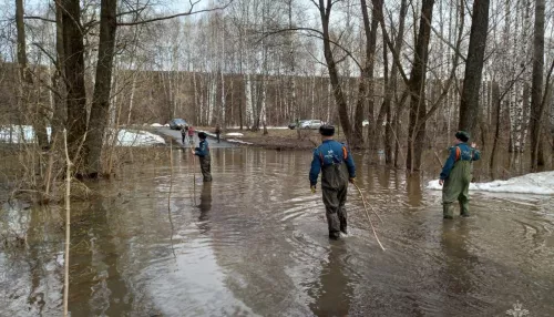 В МЧС предупредили о подтоплении новых территорий Алтайского края