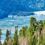 Фотографы показали несравненное Телецкое озеро с последним льдом