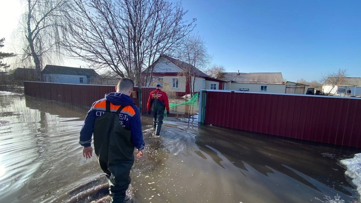 В Алтайском крае могут в ближайшее время снять режим ЧС регионального  характера | 10.04.2024 | Барнаул - БезФормата