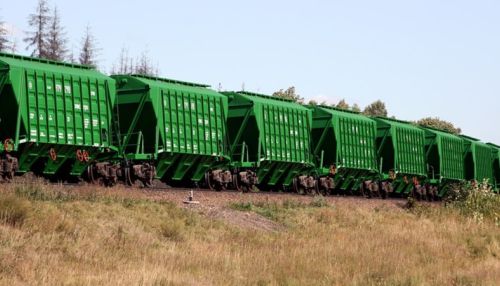 Более 1,2 млн тонн зерна вывезли из Алтайского края в 2018 году
