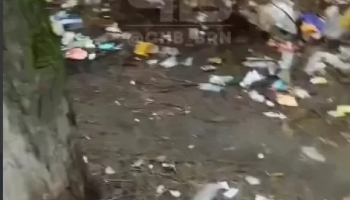 Барнаульцы пожаловались на горы мусора во дворе домов на улице Чеглецова