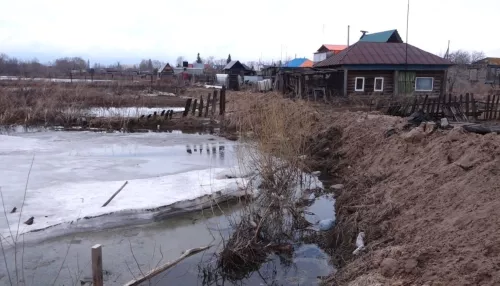 Жители алтайского села Черемное своими силами сдержали большую воду