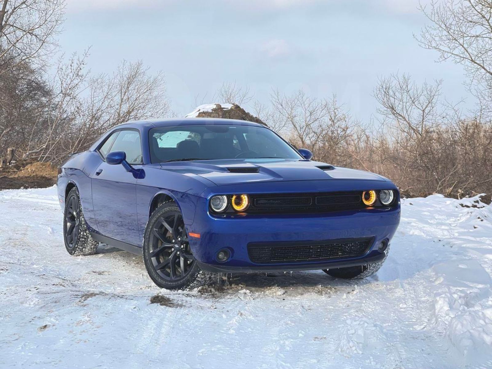 В Барнауле выставили на продажу синий Dodge Challenger в редком 