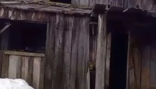 Дом Бабки Ежки: на Алтае сняли обзор полуразрушенного здания почты. Видео