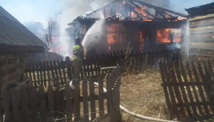 В алтайском селе пожилая женщина жгла сухую траву и погибла в разгоревшемся пожаре
