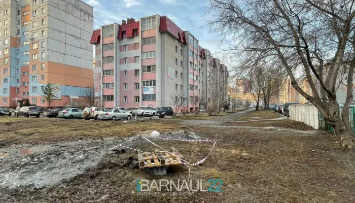 Барнаульцы выступили против установки сотовой вышки и обратились в полицию