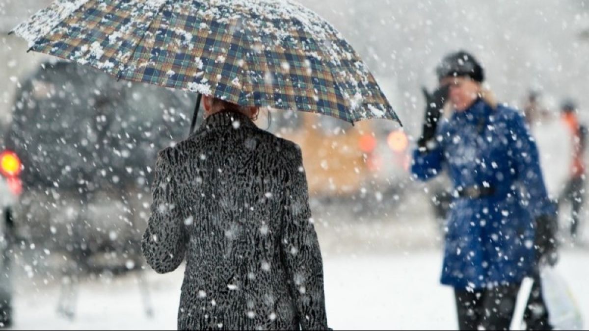 Снег, метель и ветер: непогода пришла в Алтайский край 