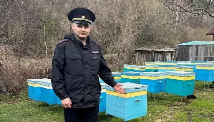 В Белокурихе подростки-туристы обокрали пчеловода, чтобы полакомиться медом