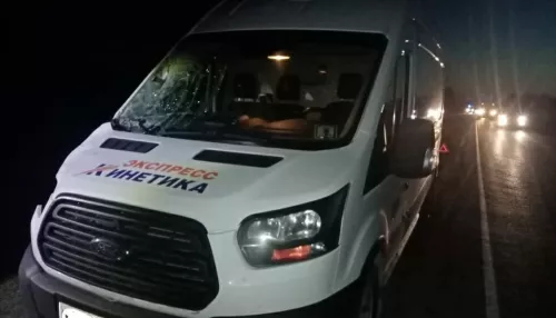 Микроавтобус насмерть сбил незаметного пешехода на трассе Новосибирск – Барнаул