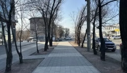 В Барнауле благоустраивают территорию возле офисника на Челюскинцев. Фото