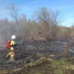 В Горно-Алтайске произошел ландшафтный пожар в районе автодрома