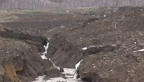 В Алтайском районе пытаются остановить добычу золота в туристическом месте